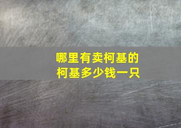 哪里有卖柯基的 柯基多少钱一只